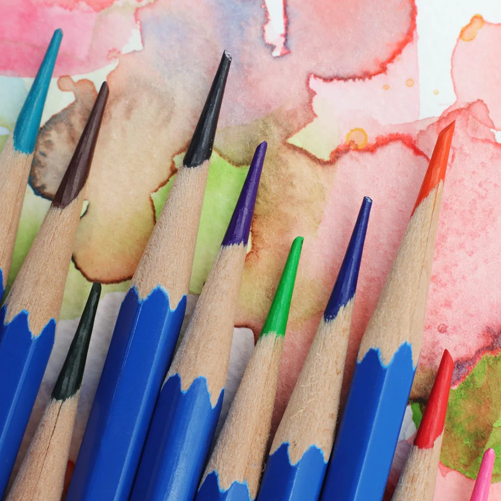 Watercolour Pencils Signature 12pc - Image 4